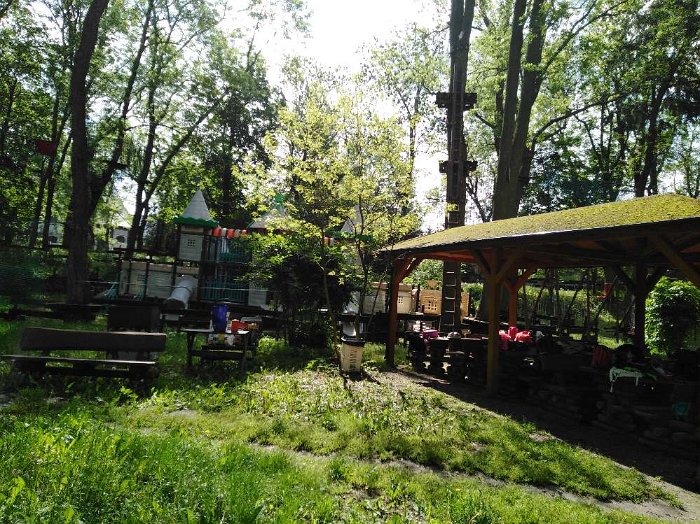 PARK LINOWY (42)